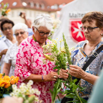 Patronatsfest Bistum Hildesheim Patronatsfest Bistum Hildesheim